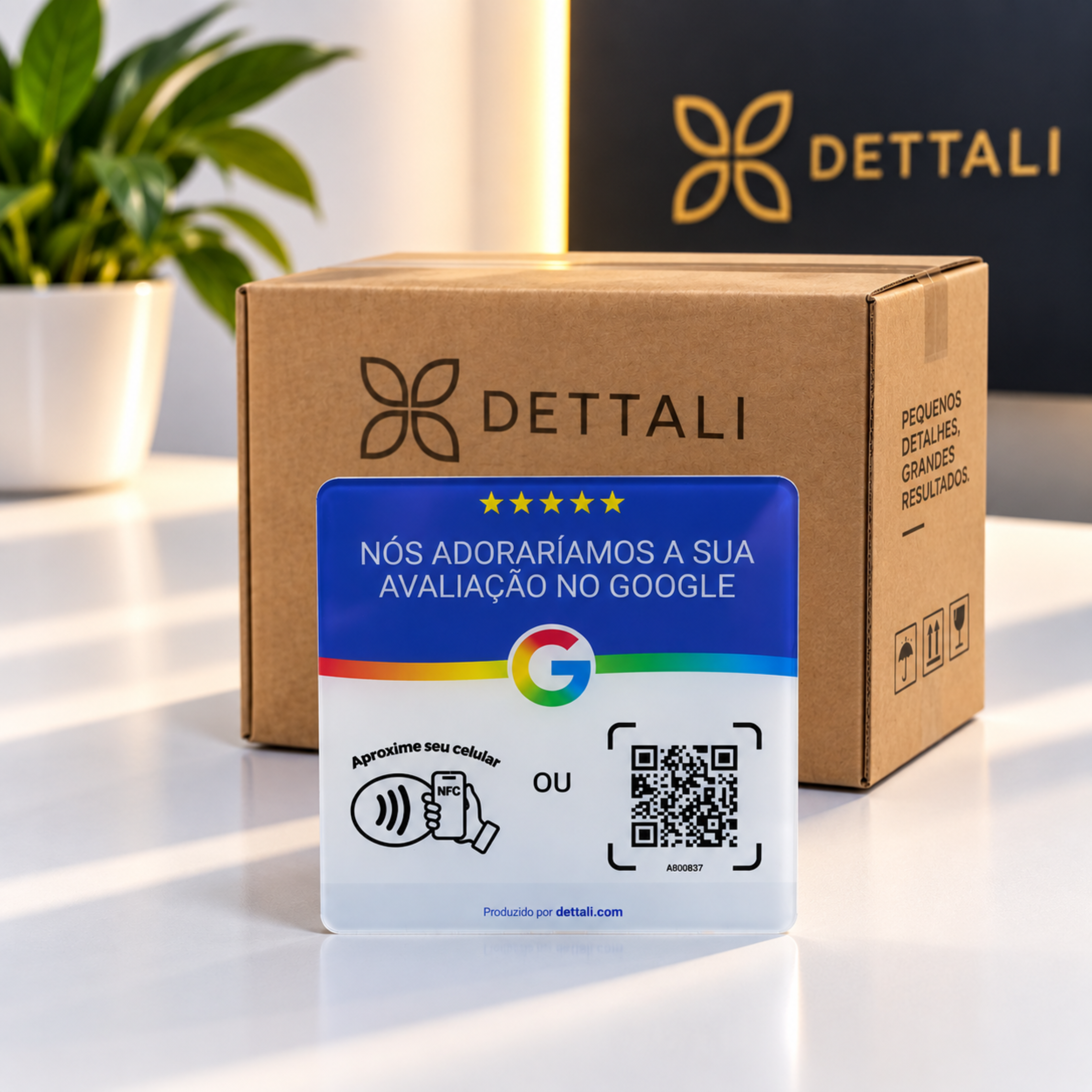 Lote de 500 placas Dettali